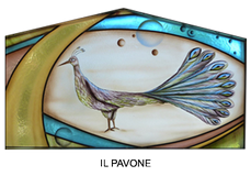 IL PAVONE.png